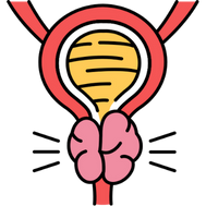 Prostate enlargement (BPH)
